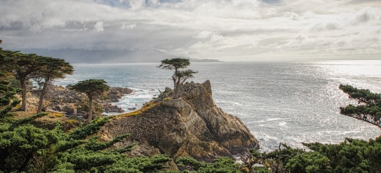 Picture of a coastline